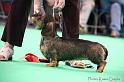 Crufts2011_2 1644